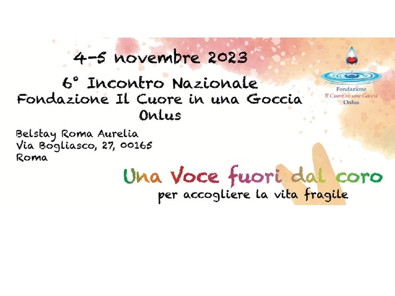 6° INCONTRO NAZIONALE FONDAZIONE IL CUORE IN UNA GOCCIA