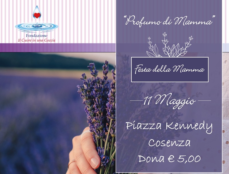 Profumo di mamma 2024. In piazza, a Cosenza, le piantine di lavanda